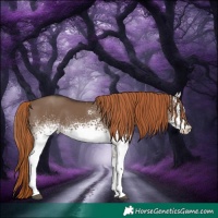 Horse Color:White Spotted Liver Red Dun 