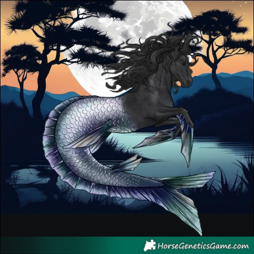 Horse Color:Void Black