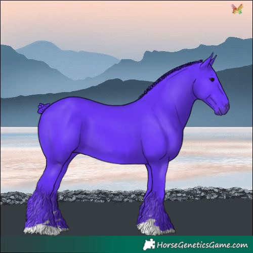 Horse Color:Watercolor Black 