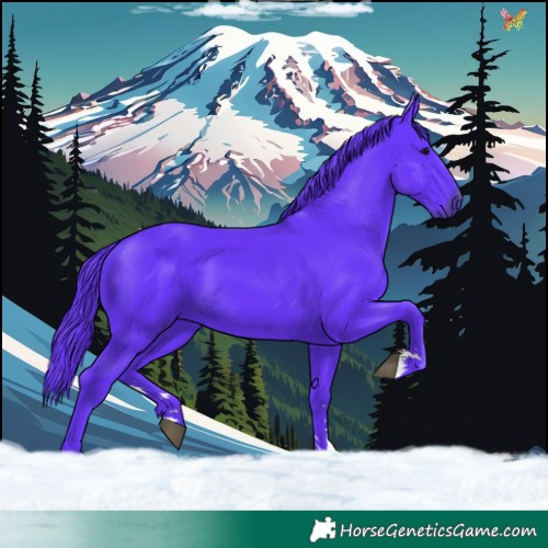 Horse Color:Watercolor Black 