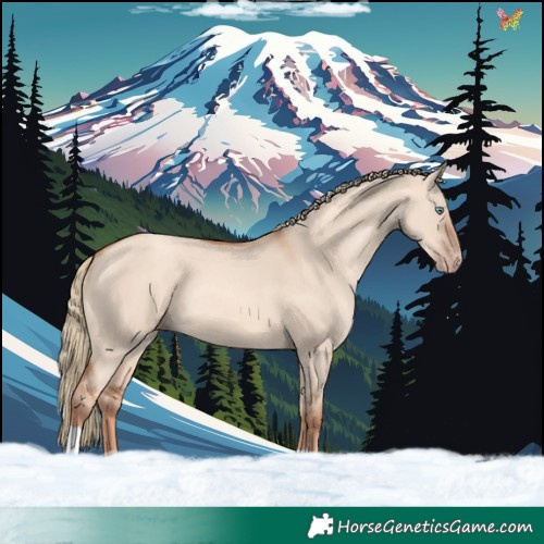 Horse Color:Gold Champagne Dun Tobiano 