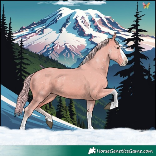 Horse Color:Watercolor Silver Buckskin Dun Splash Tobiano Skewed LP Spotted 