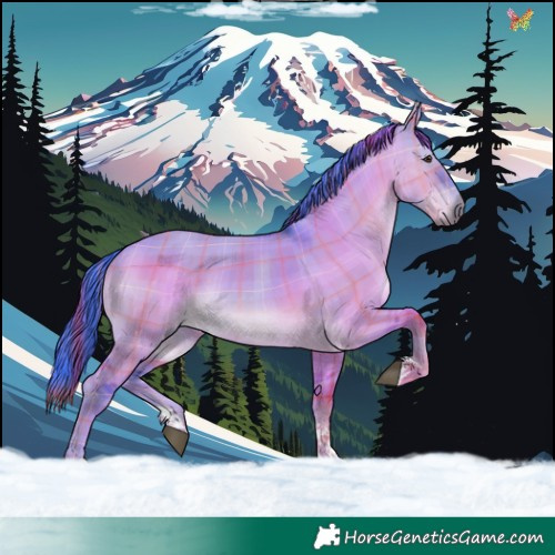 Horse Color:Watercolor Plaid  Liver Red Dun Tobiano 