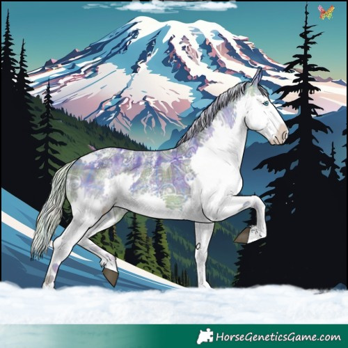 Horse Color:Powder White Watercolor Plaid  White Spotted Silver Brown Ice Splash 