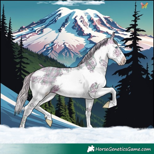 Horse Color:Powder White Watercolor Plaid White Spotted Silver Brown Ice Splash