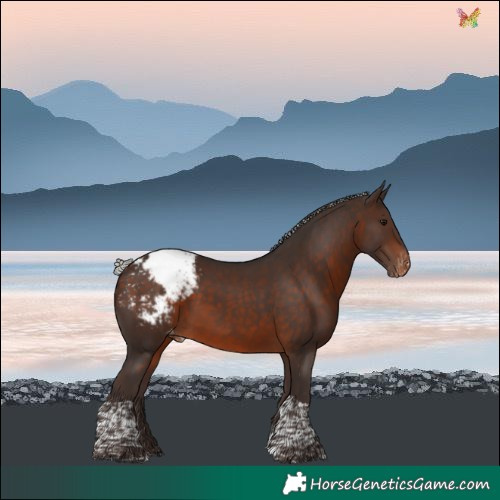 Horse Color:Silver Brown Tobiano Snowcap 