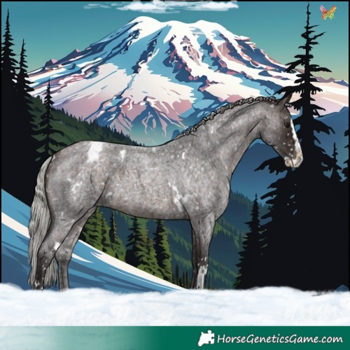 Horse Color:White Spotted Silver Brown Roan Splash Appaloosa 