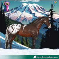 Horse Color:White Spotted Silver Brown Splash Blanket