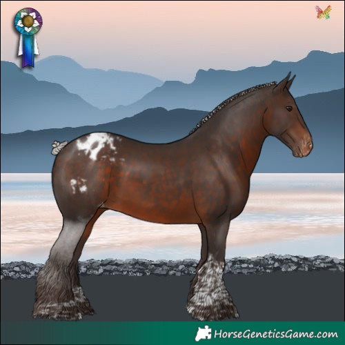 Horse Color:Silver Brown Tobiano Blanket Rabicano 