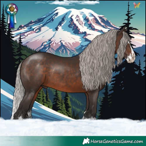 Horse Color:Silver Brown Splash Rabicano 