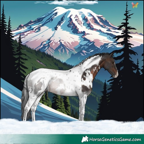 Horse Color:White Spotted Brown Tobiano Rabicano