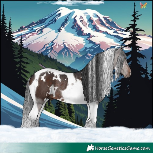 Horse Color:White Spotted Brown Tobiano Rabicano