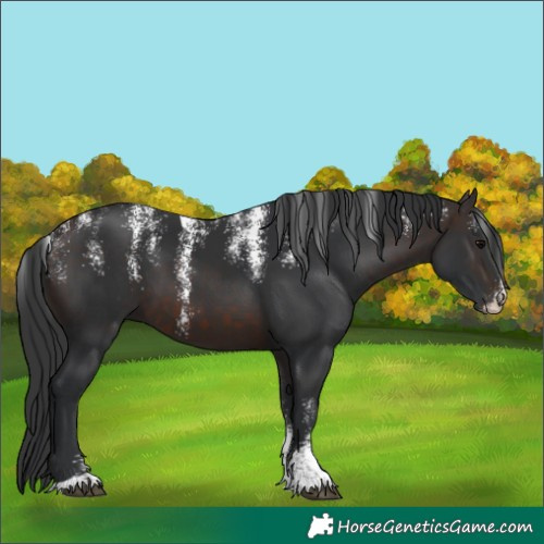 Horse Color:Powder White Brown