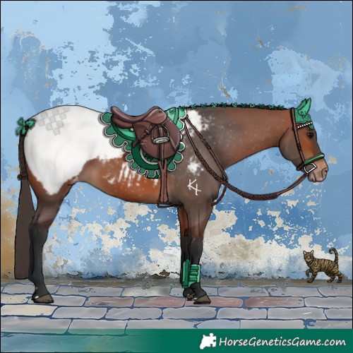 Horse Color:Bay Snowcap 