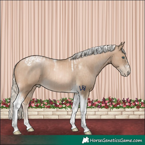 Horse Color:Chocolate Palomino Pearl Tobiano Frame and Chocolate Palomino Pearl Tobiano Frame