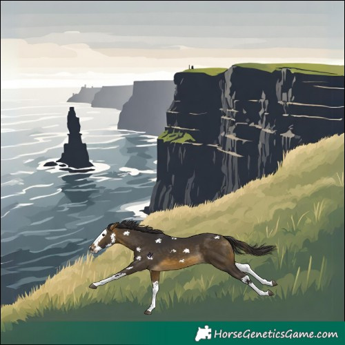 Horse Color:Buckskin Splash 