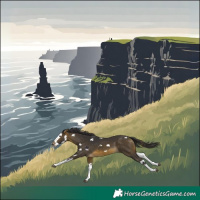 Horse Color:Buckskin Splash 