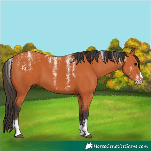 Horse Color:Powder White Bay