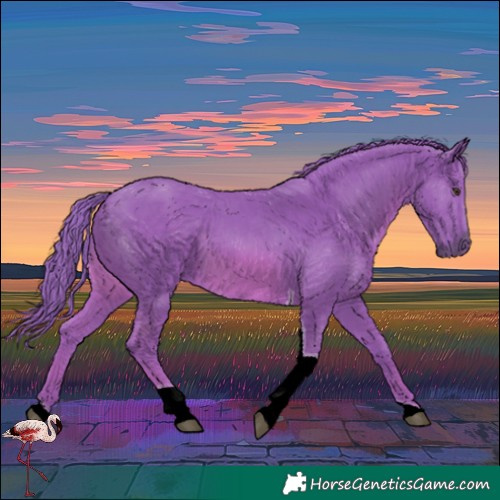 Horse Color:Watercolor Chestnut Tobiano