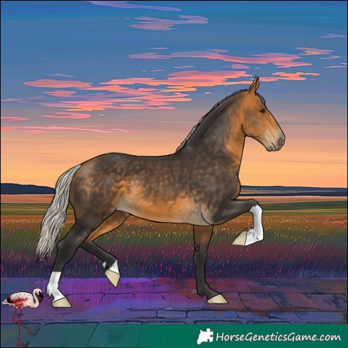 Horse Color:Silver Buckskin 