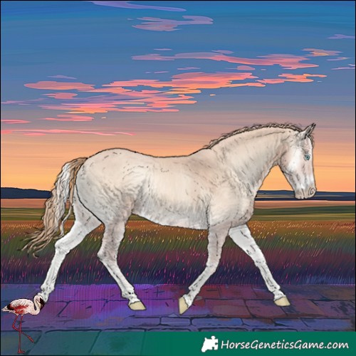 Horse Color:Perlino Onyx