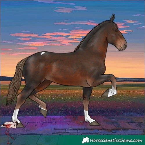 Horse Color:Liver Chestnut Tobiano 