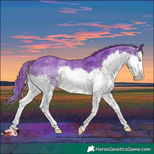Horse Color:Watercolor Black Splash