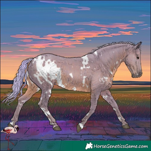 Horse Color:Watercolor White Spotted Silver Black Rabicano