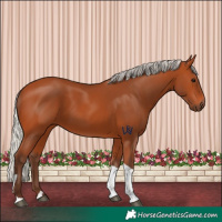 Horse Color:Silver Bay Tobiano