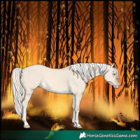 Horse Color:Cremello Dun