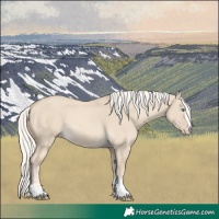 Horse Color:Cremello Dun