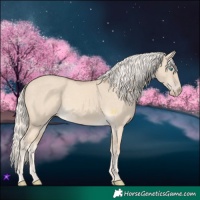 Horse Color:Cremello Dun