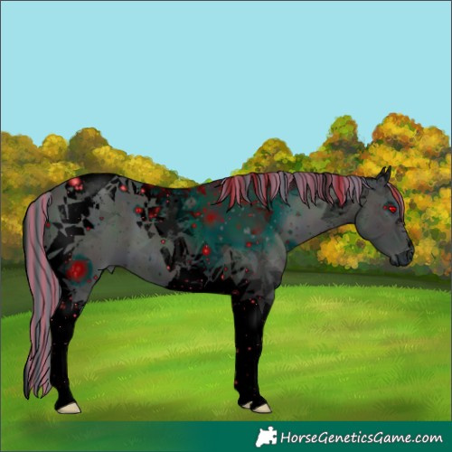 Horse Color:ERROR: UNKNOWN ANOMALY