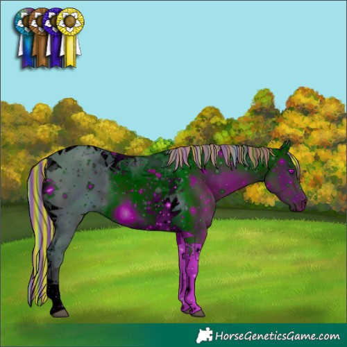 Horse Color:ERROR: UNKNOWN ANOMALY