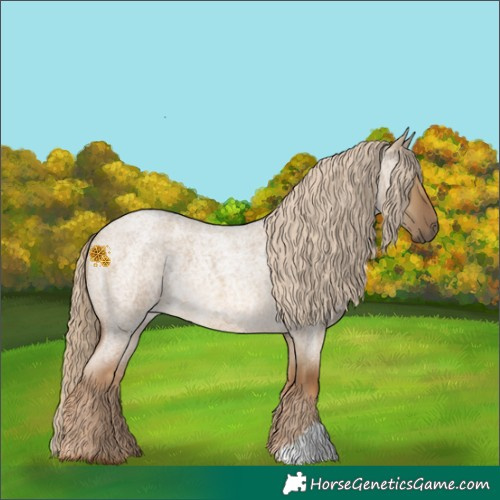 Horse Color:Chocolate Palomino Roan Dun 