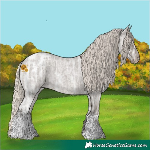 Horse Color:Silver Smoky Grullo Ice Roan Appaloosa