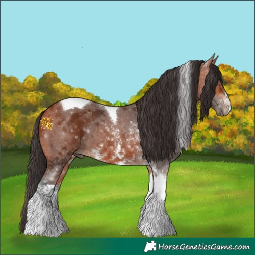 Horse Color:Bay Sabino Tobiano 