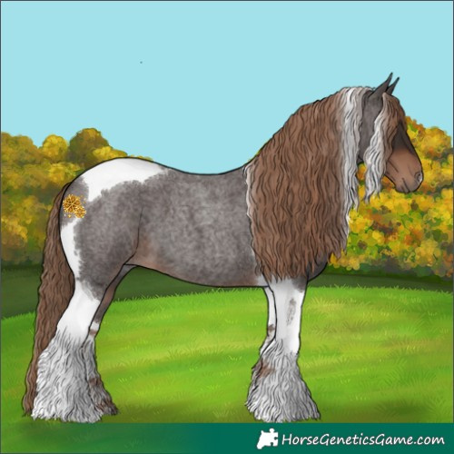 Horse Color:Liver Red Roan Tobiano