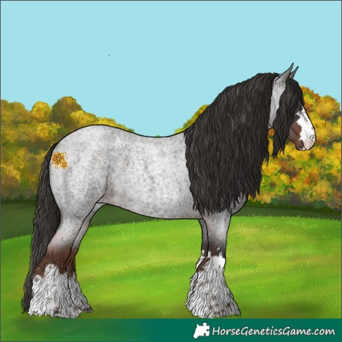 Horse Color:Liver Red Roan 