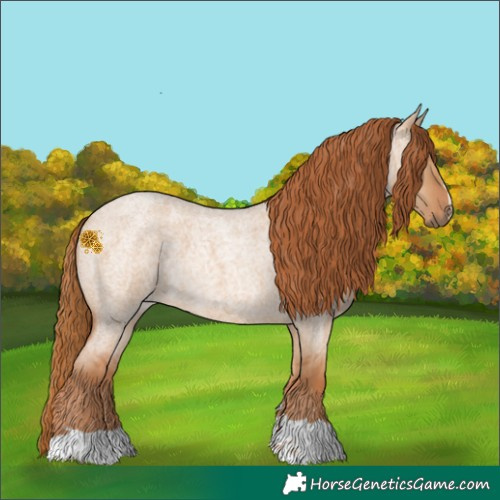 Horse Color:Red Dun Roan 