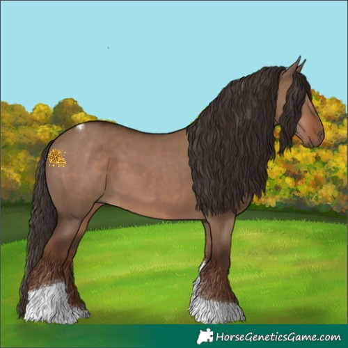 Horse Color:Liver Red Dun Tobiano