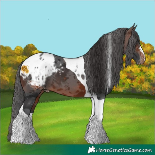 Horse Color:Brown Merle Tobiano Blanket 