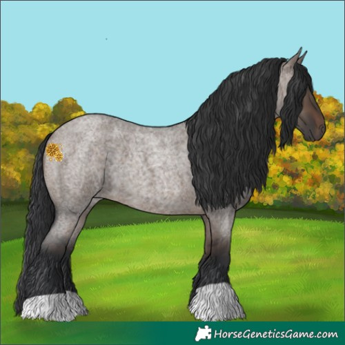 Horse Color:Brown Roan Dun