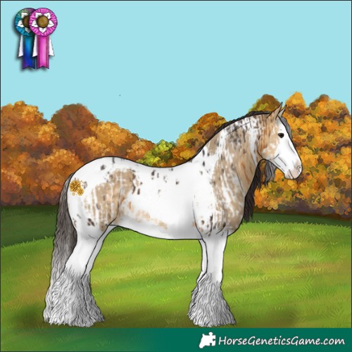 Horse Color:White Spotted Buckskin Splash Near Leopard and Buckskin Dun Splash Tobiano