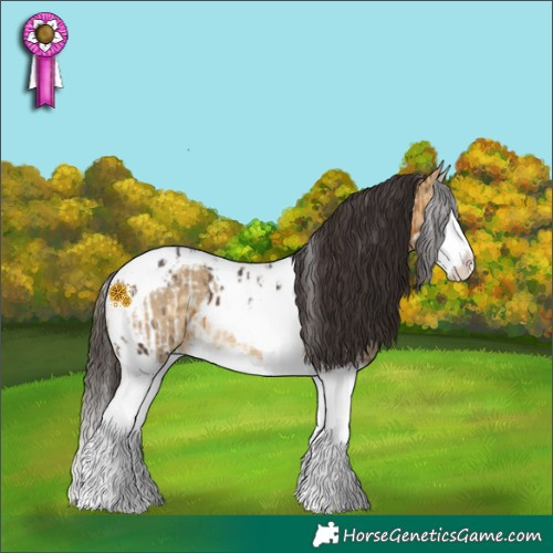 Horse Color:White Spotted Buckskin Splash Appaloosa  and Buckskin Dun Splash Tobiano 