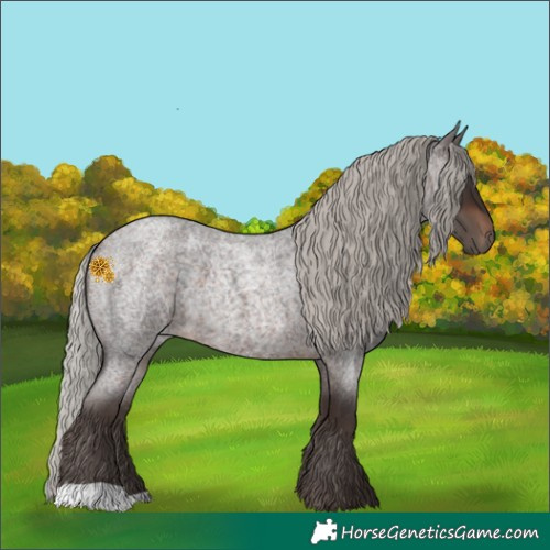 Horse Color:Silver Brown Roan