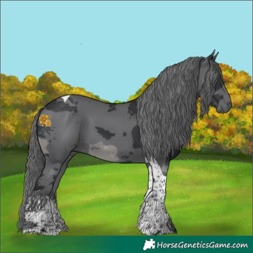 Horse Color:Black Merle Tobiano