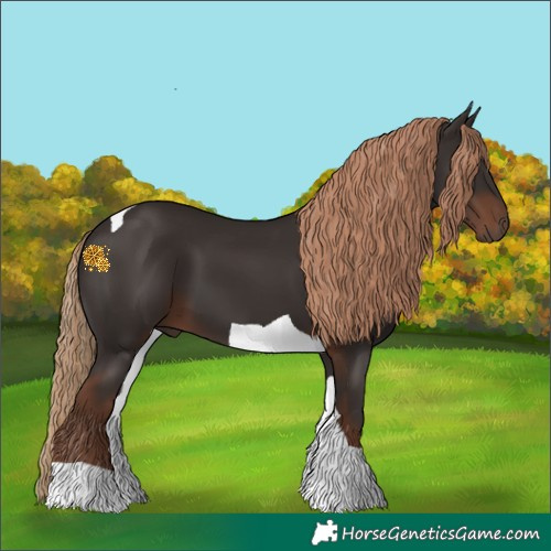 Horse Color:Liver Chestnut Tobiano