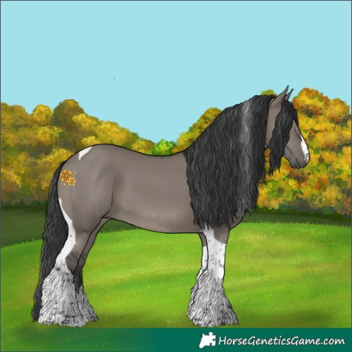 Horse Color:Grullo Tobiano