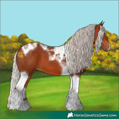 Horse Color:Silver Bay Tobiano 